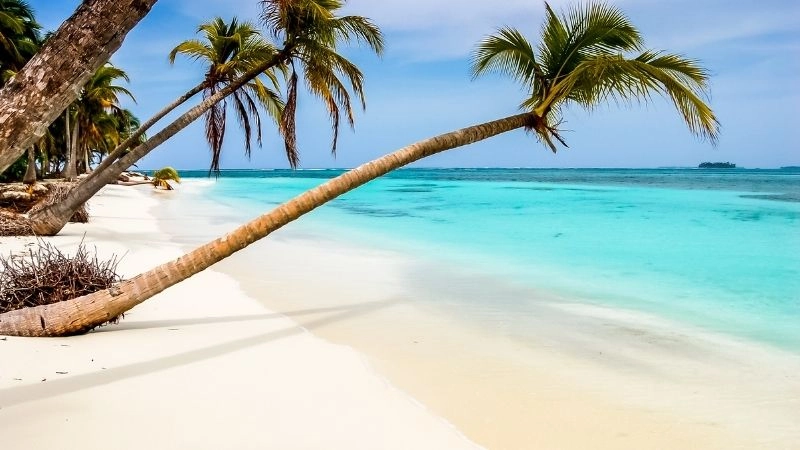 Bãi biển Paradise