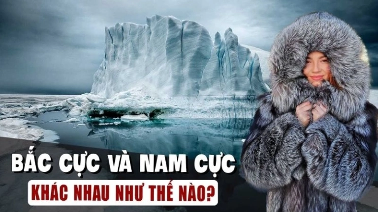 Bạn có biết sự khác biệt giữa Bắc Cực và Nam Cực không