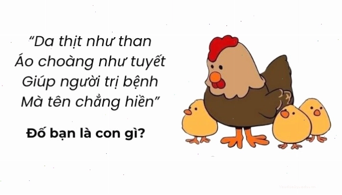 Bảng tổng hợp các câu đố vui trí tuệ