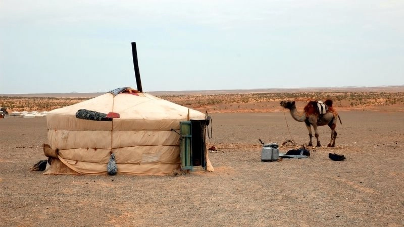 Bộ lạc du mục ở Gobi 