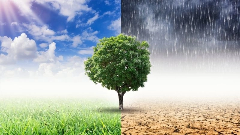 Các đới khí hậu châu Âu