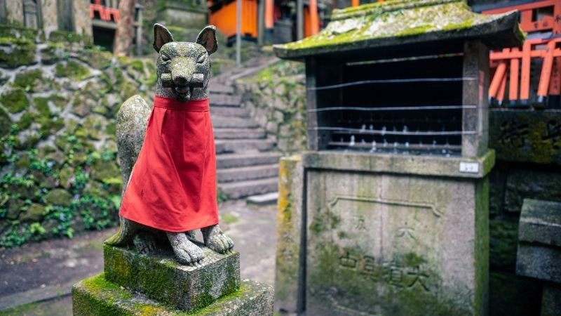 Cáo thần Inari