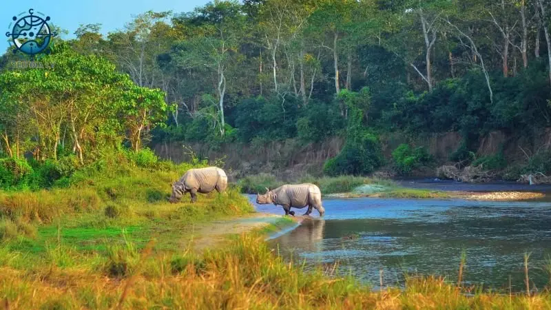 Công viên quốc gia Chitwan Công viên quốc gia Chitwan