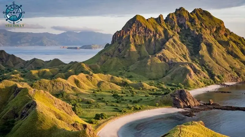 cong-vien-quoc-gia-komodo cong-vien-quoc-gia-komodo