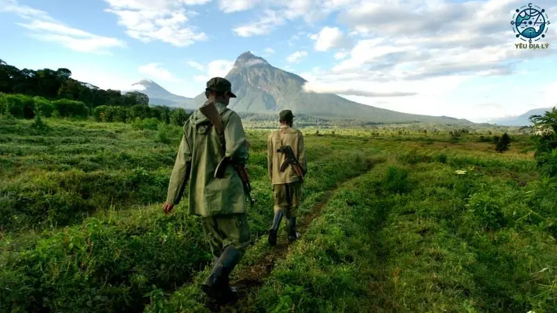 Công viên Quốc gia Virunga Công viên Quốc gia Virunga