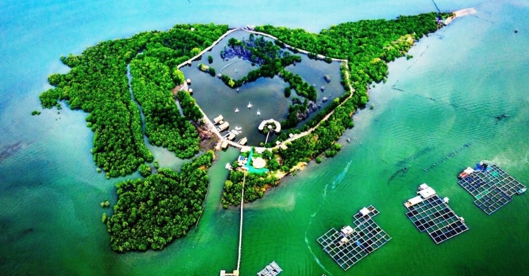 Cù lao là gì? Khám phá ý nghĩa và đặc trưng độc đáo