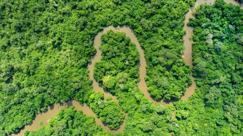Đa dạng sinh học Congo