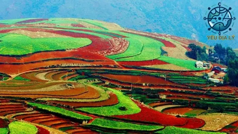 dac-diem-chung-cua-dat-dai-viet-nam dac-diem-chung-cua-dat-dai-viet-nam