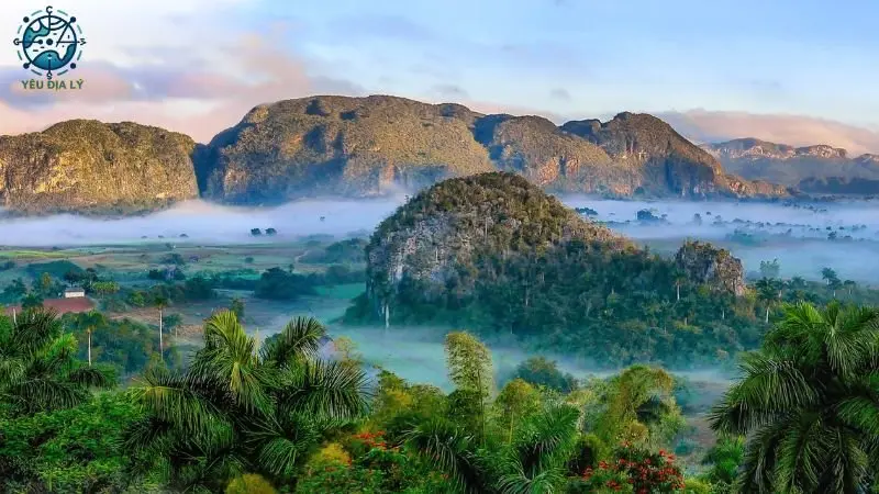 Đặc điểm địa hình Đặc điểm địa hình