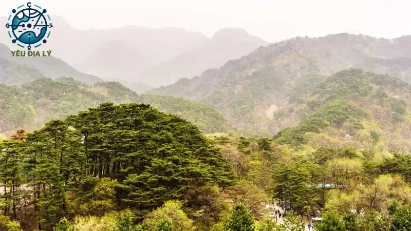 dac-diem-tu-nhien-trieu-tien dac-diem-tu-nhien-trieu-tien