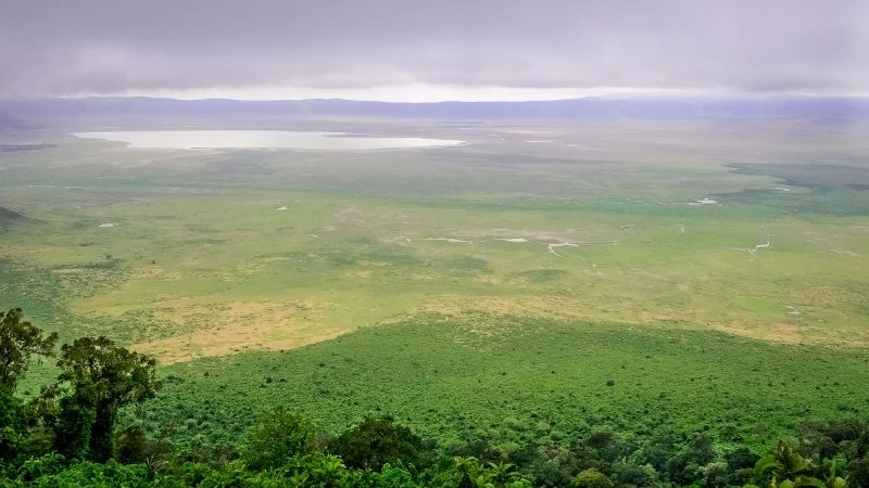 Di sản UNESCO
