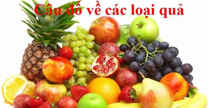 Giải mã 30+ câu đố về hoa quả hấp dẫn cho bé yêu
