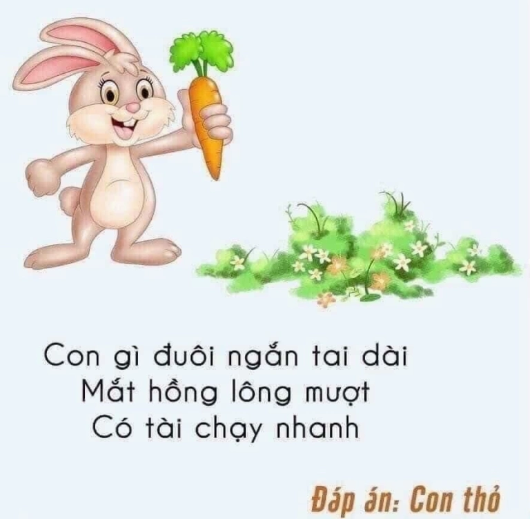 Giải mã những câu đố con vật khó nhằn nhất thế giới