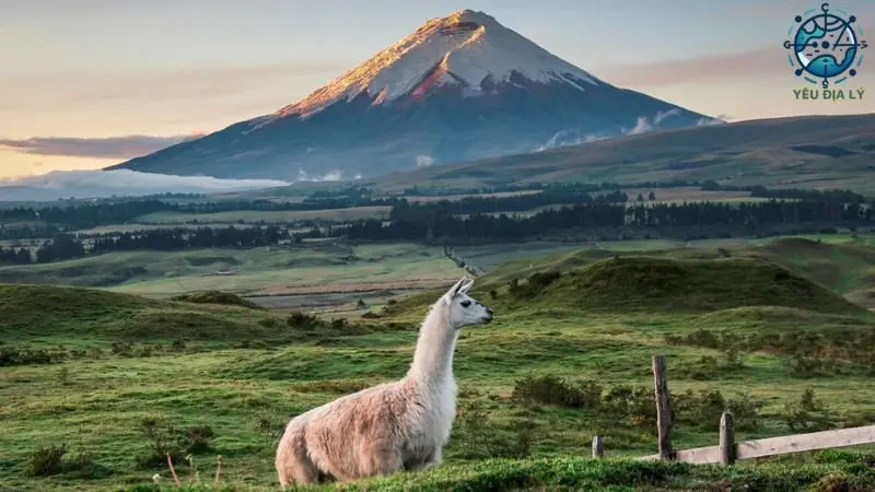 Giới thiệu chung về Ecuador Giới thiệu chung về Ecuador