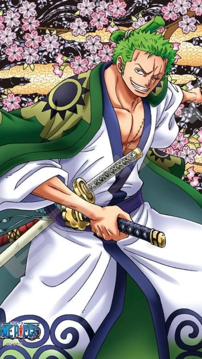 Hành trình của Zoro Wano Quốc đậm chất chiến binh