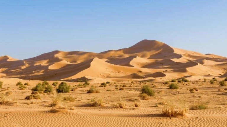 Hành trình khám phá vẻ đẹp khắc nghiệt của sa mạc Sahara