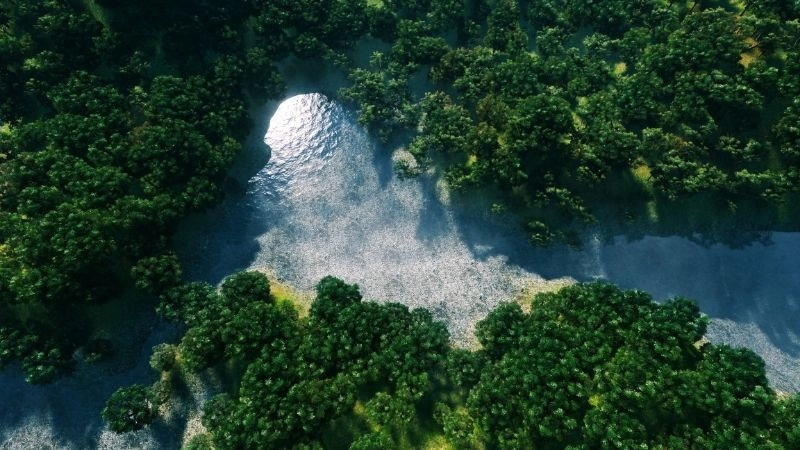 Hệ sinh thái ở châu Á đa dạng