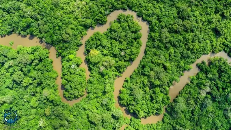 Hệ sinh thái Hệ sinh thái
