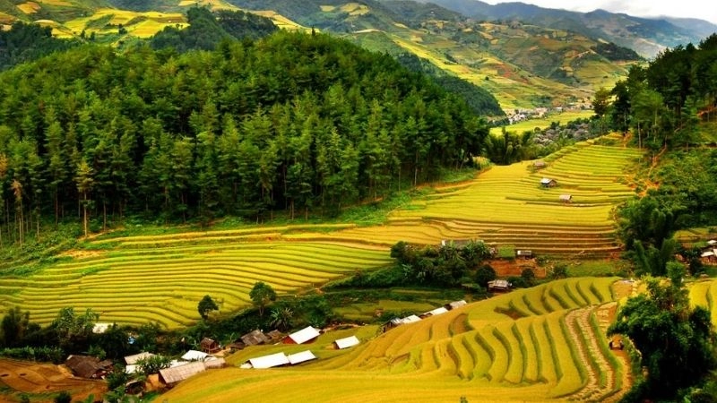 Hòa bình là gì