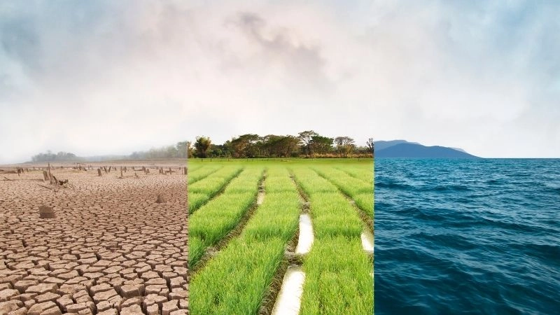 Khí hậu ôn đới châu Á đặc điểm gì