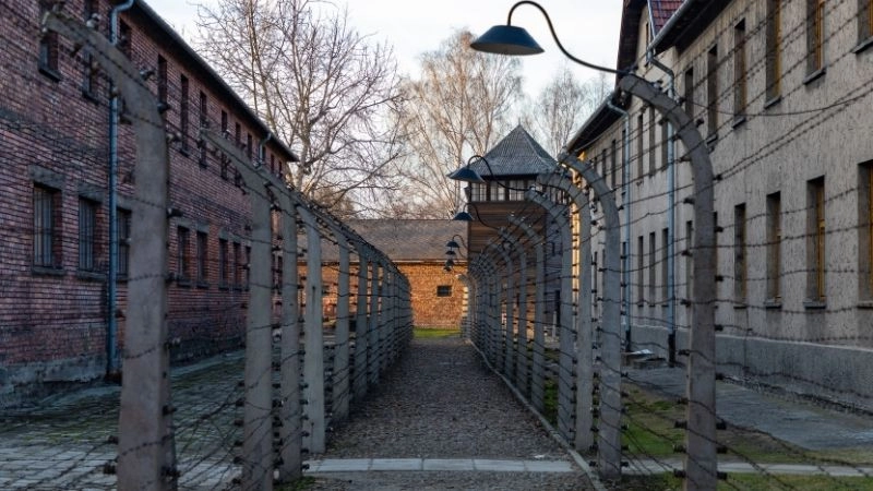 Lịch sử Holocaust