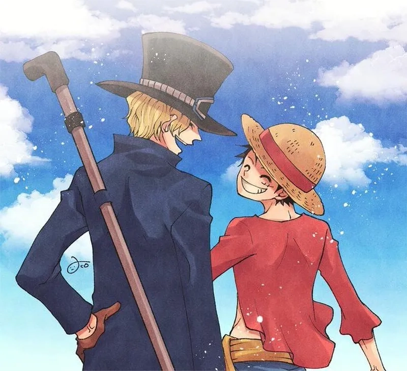 Marco x Sabo là tổ hợp được yêu thích bởi sự tương phản đặc biệt