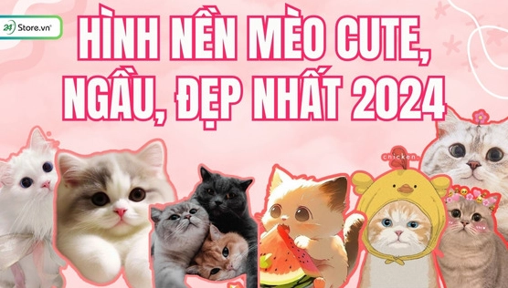 Mèo Chibi Dễ Thương Khám Phá Thế Giới Qua Góc Nhìn Siêu Cute