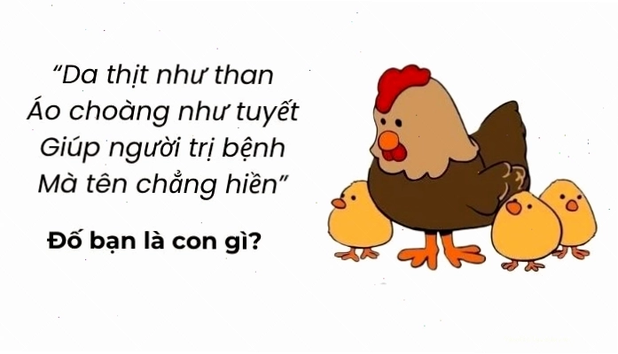 Những câu đố vui trí tuệ siêu hack não