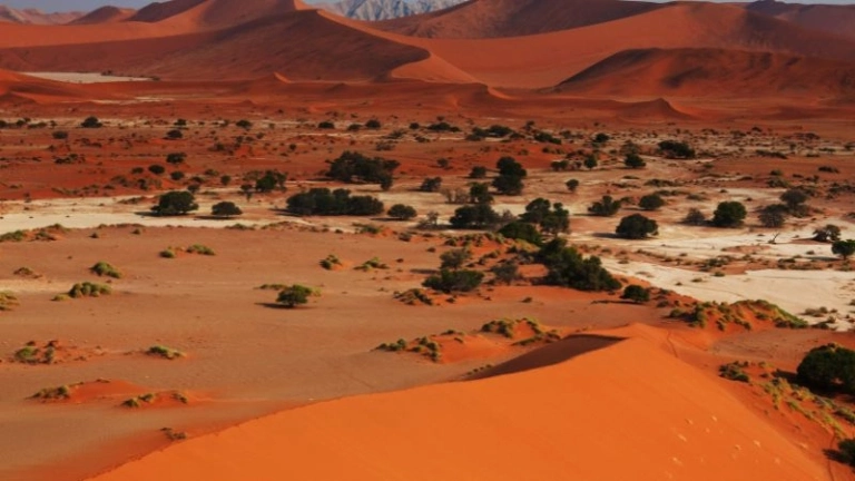 Sa mạc Namib vùng đất khô hạn lâu đời nhất trên thế giới