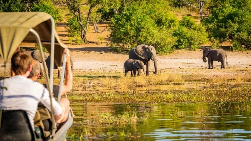 Safari hồ Nakuru 