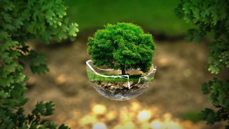 Sinh thái học ở đâu