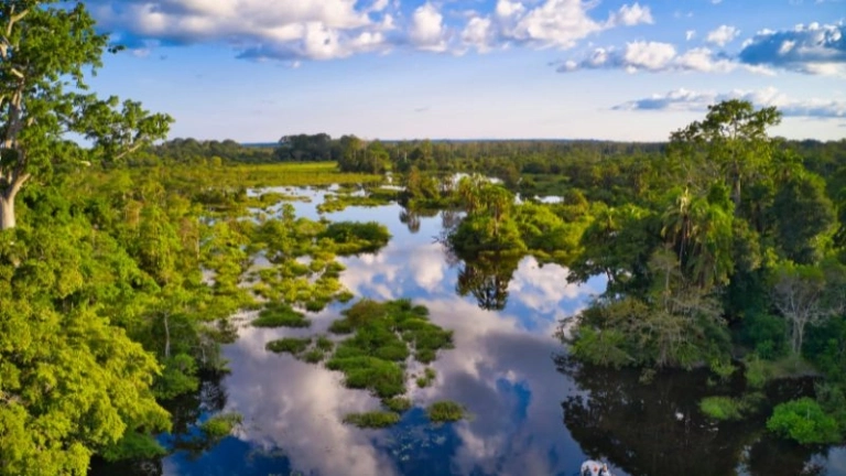 Sông Congo dòng chảy hùng vĩ giữa rừng nhiệt đới Châu Phi