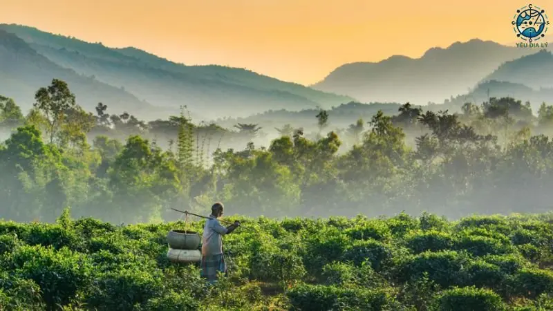 Sylhet Sylhet