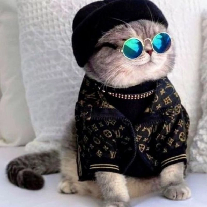 Thay áo mới với hình nền mèo chibi siêu cấp đáng yêu