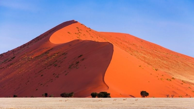Thung lũng chết Deadvlei