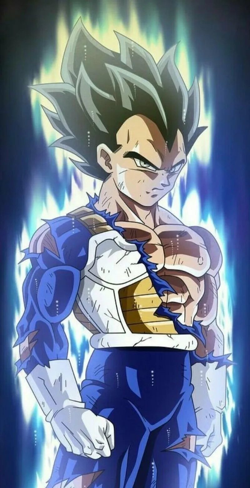 Vegeta trong dragon ball super bùng nổ sức mạnh vượt giới hạn