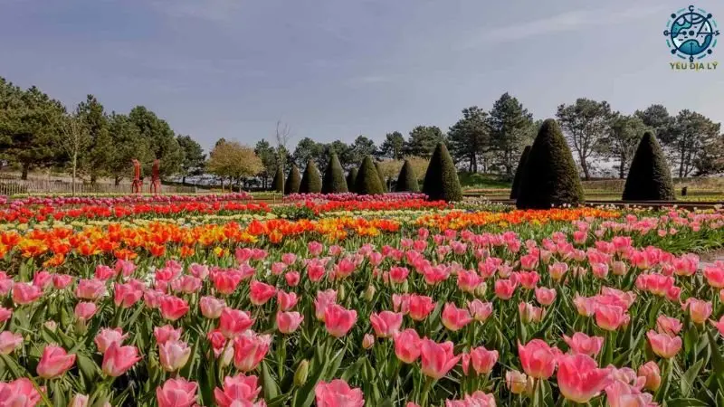 vuon-hoa-keukenhof vuon-hoa-keukenhof
